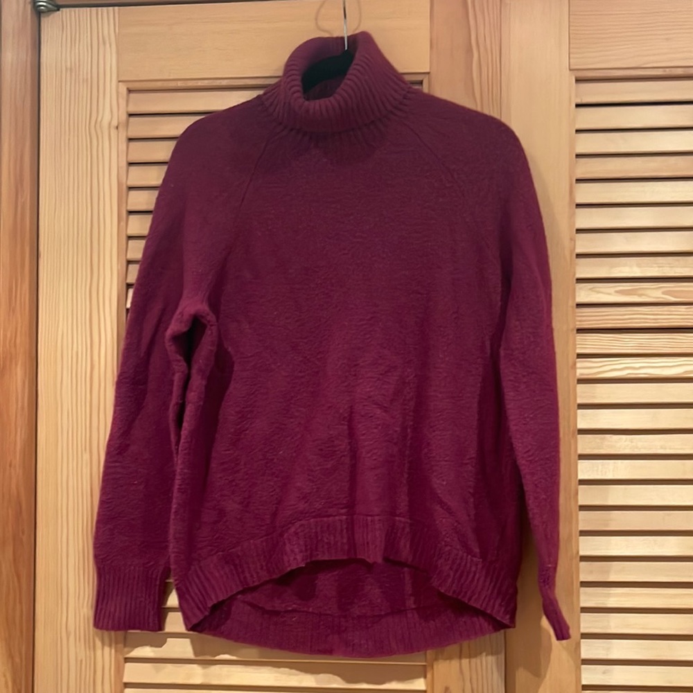 JCrew Turtleneck sweater in supersoft yarn
